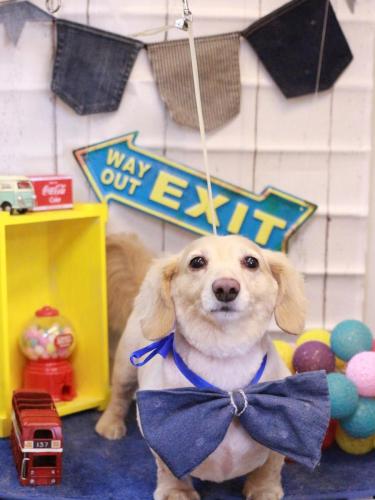 20230427テヤンくん